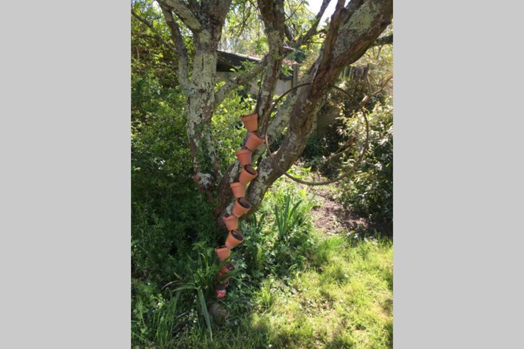 סן-ג'ילדה-דה-רוס Keraudren Rhuys - Longere Xviiie - 10 Pers - 4 Chb - Plage A Pied מראה חיצוני תמונה